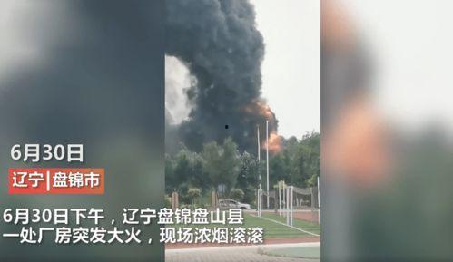 辉南县媒体爆料事件最新,揭秘当地重大事件背后真相  第2张
