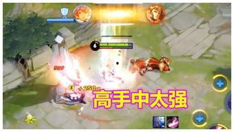 教官爆料凤求凰视频,凤求凰视频背后的惊人真相 第3张 教官爆料凤求凰视频,凤求凰视频背后的惊人真相 第3张