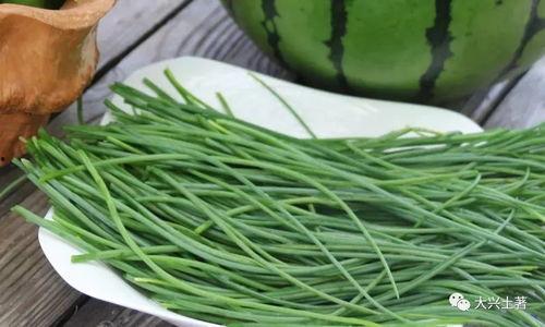 成县的吃瓜网红是谁啊,揭秘网络红人的魅力与影响力